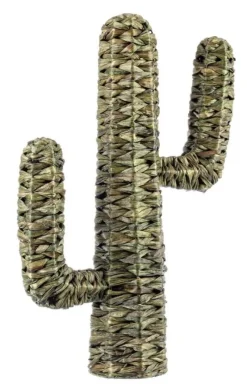 Clearance Bizzotto CACTUS SAGUARO VERDE H73