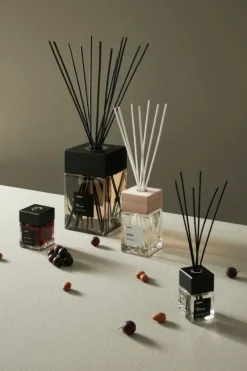 Discount Bizzotto DIFFUSORE FRAGRANZA THE' BIANCO E ORCHIDEA 500ML