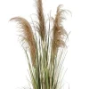 Sale Bizzotto PIANTA AUSTORDERIA PAMPAS C-VASO H145