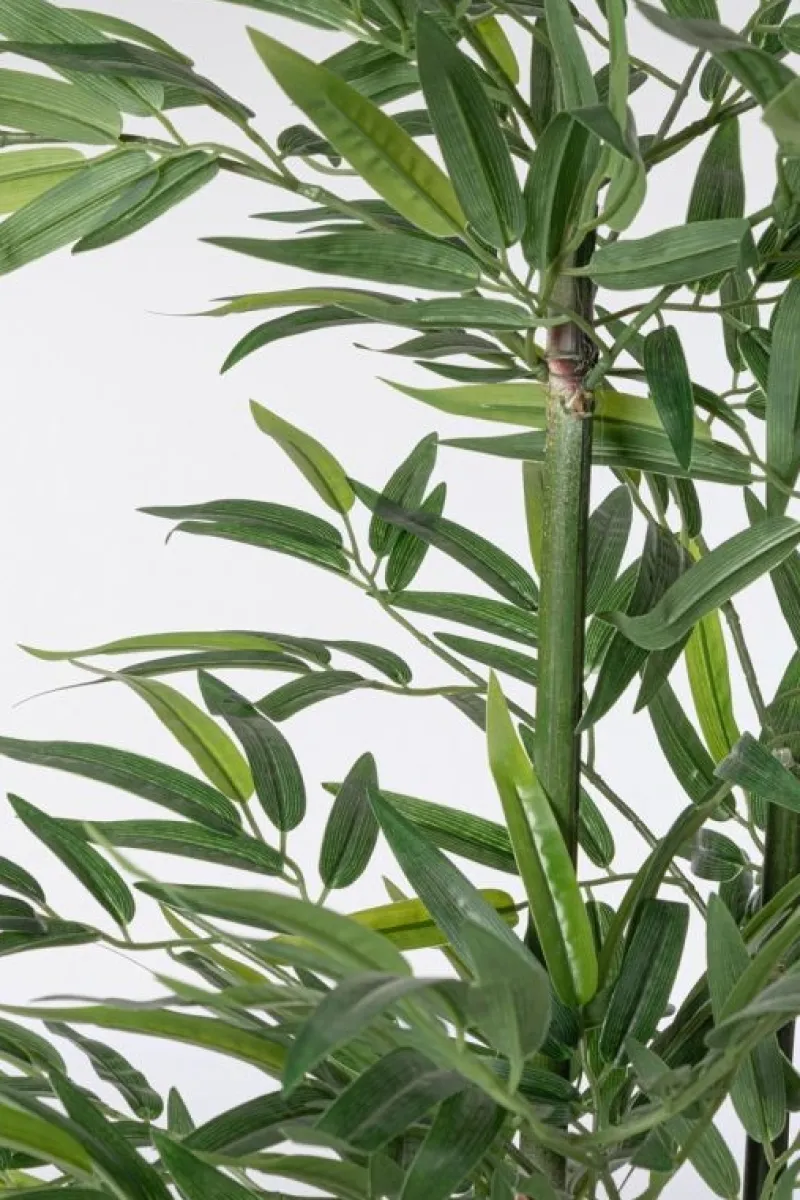 Hot Bizzotto PIANTA BAMBOO C-VASO H130