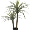 Discount Bizzotto PIANTA DRACAENA C-VASO H110