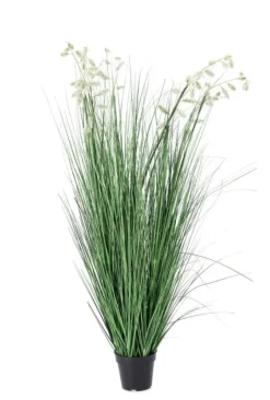Clearance Bizzotto PIANTA GREVILLEA BIANCO C-VASO X9F H150