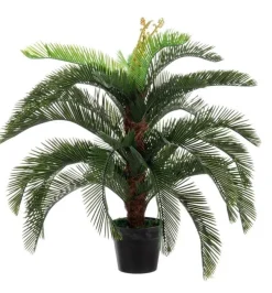 Bizzotto PIANTA PALMA CYCAS C-VASO 30FOGLIE H100