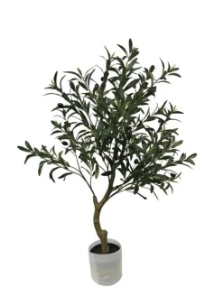 Best Bizzotto PIANTA ULIVO C-VASO H90