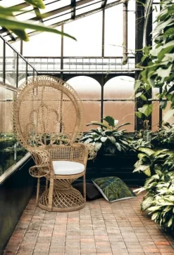 Clearance Bizzotto POLTRONA IN FIBRE NATURALI SFODERABILE NATURALE - PEACOCK