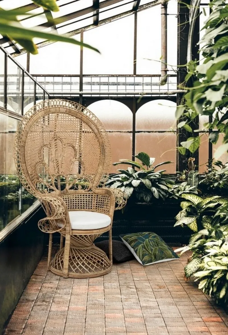 Clearance Bizzotto POLTRONA IN FIBRE NATURALI SFODERABILE NATURALE - PEACOCK