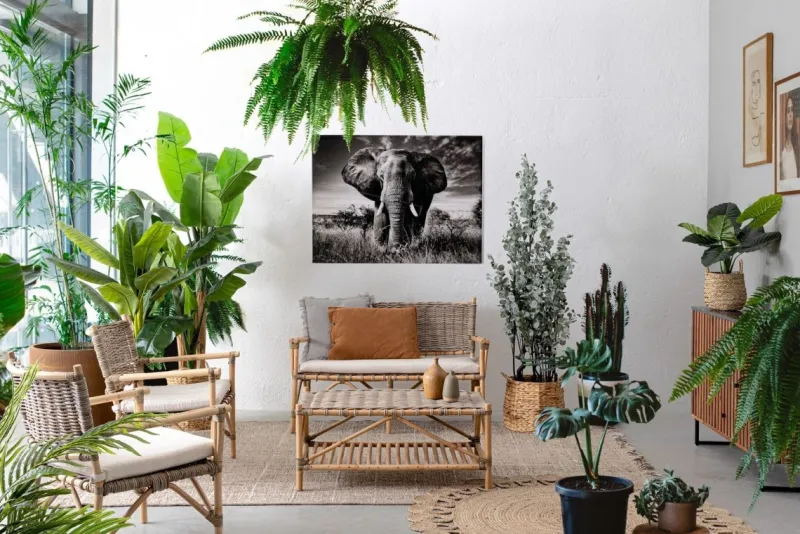 Outlet Bizzotto POLTRONA IN FIBRE NATURALI CON CUSCINO - TARIFA