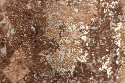 New Bizzotto QUADRO C-C BOLD 883 122X82