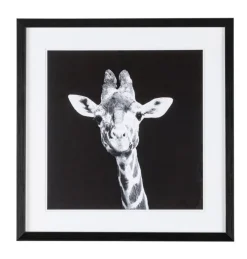 Outlet Bizzotto QUADRO C-C EVIDENCE 107 49X49